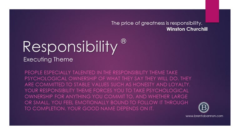 Responsibility Executing Theme