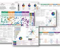 Cascade Report Bundle